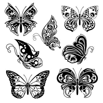 Vector de mariposas de decoración negra eps