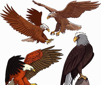 Eagle icons flying perching gesture sketch ai eps vector