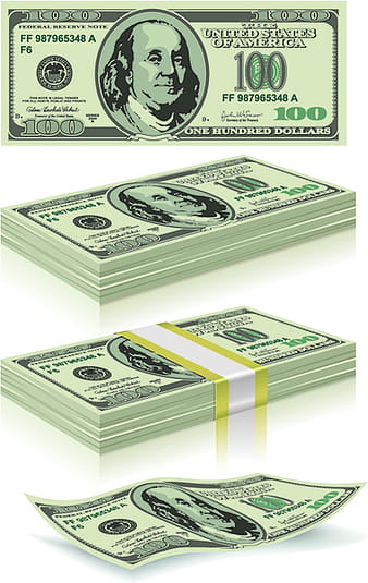 Us dollar money pack design vector eps
