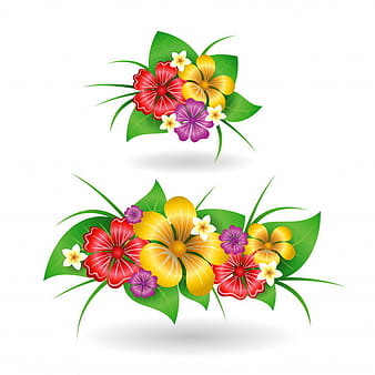 Elementos de decoración de flores tropicales. eps
