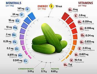 cucumber vitamins infographics vector eps