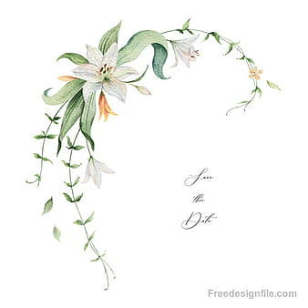lilies decorative design watercolor vector  eps