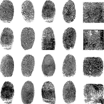 Fingerprint Vector 4 eps