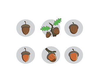 Acorn Vector svg ai
