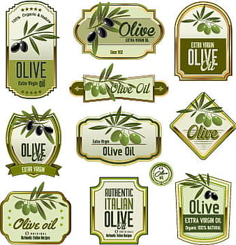 Green olive oil labels set vector eps