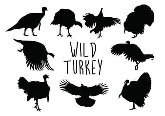 Wild Turkey Silhouette eps svg vector