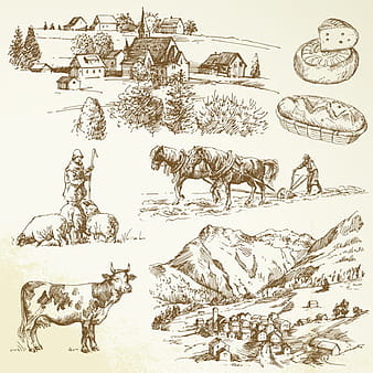 Hand drawn Agriculture elements vector  eps