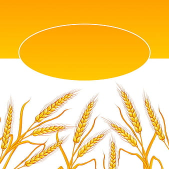 Wheat ear card. eps vector