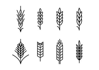 Wheat ears set icons svg eps vector