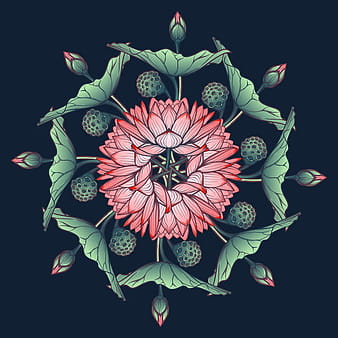 Beautiful lilies flower vector  eps