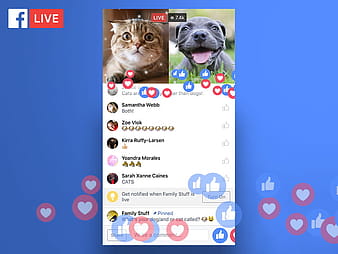 Facebook Live iOS View sketch file sketch vector