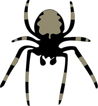 Spider svg vector