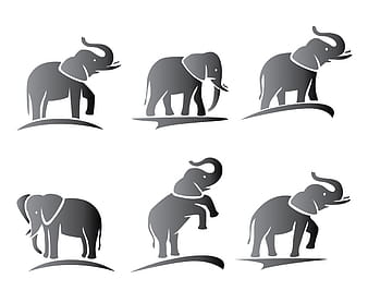 Elephant Silhouette Vectors eps