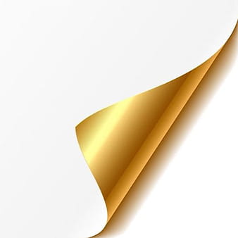 Curled corner with colored paper background vector  svg