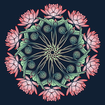 Beautiful lilies flower vector  eps