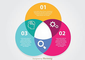 Infographic Venn Diagram eps vector