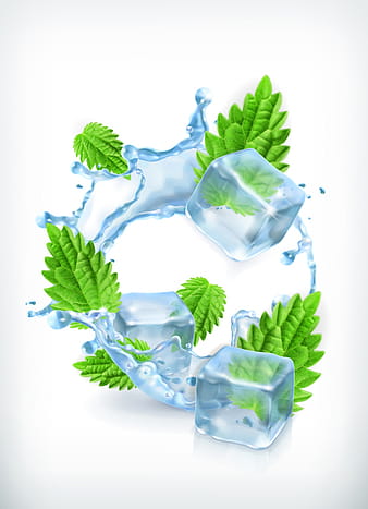 Mint with ice cubes and water splash vector eps