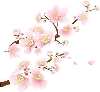 Bloom 6 ai vector
