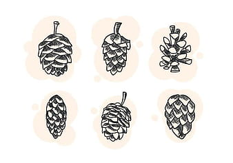 Free Unique Pine Cones Vectors svg eps ai