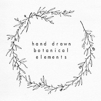 Hand drawn botanical elements eps vector