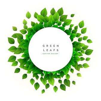 green leaves eco nature background eps vector