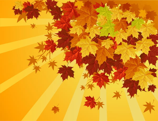Fall leaf eps vector