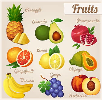 Gran colección de varios iconos de alimentos vector  eps