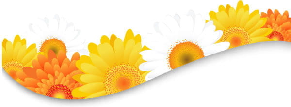 Sunflower elements background vector eps