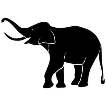 Elephant Vector Image eps