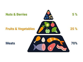 Unique Ketogenic Diet Vectors ai eps svg