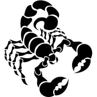 Imagen vectorial de escorpión negro eps