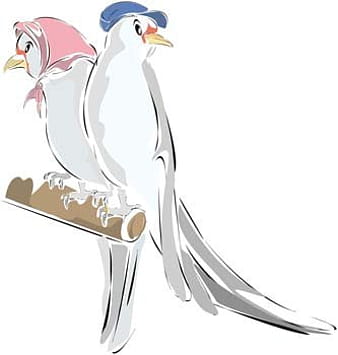 Pigeon vector 2 ai