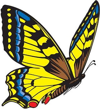Butterfly Vector 3 ai