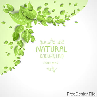 Eco frame with green leaves vector eps