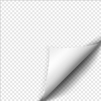 Blank curled paper corner vector material  eps