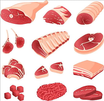 Fresh meat and ham vectors  ai
