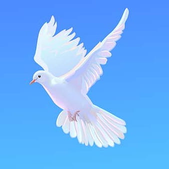 Pigeon vector 4 ai