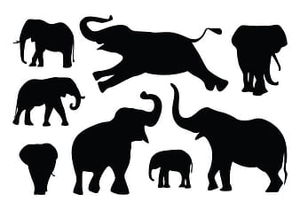 Elephant Silhouette Vectors eps svg