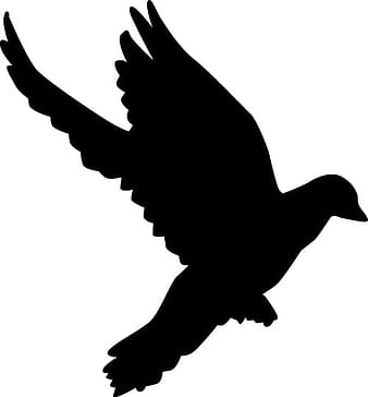 Peace dove silhouette vector illustration  eps