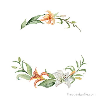Watercolor lilies flower frame vector  eps