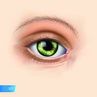 Different Eyes design vector  eps