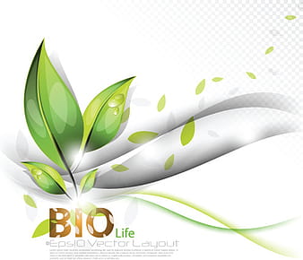 Conjunto de fondos de vector de vida biológica eps