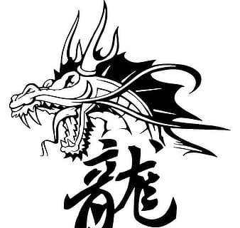 chinese dragon vector image eps