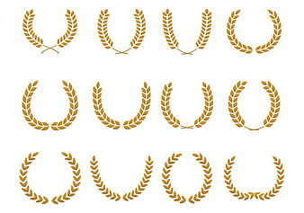 Free Wheat Vector 2 eps
