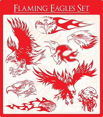 Águila  eps