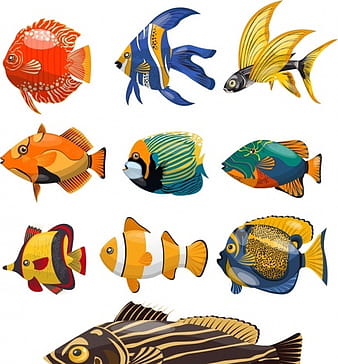 Fishes species icons colorful design eps ai vector