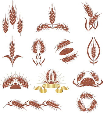 Wheat  eps vector