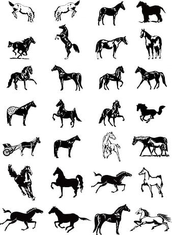 Black and white horse vector ai