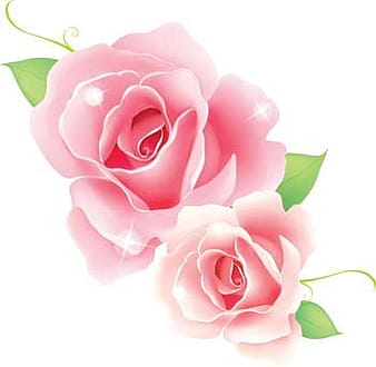 Rose Flower Vetor 45 ai vector