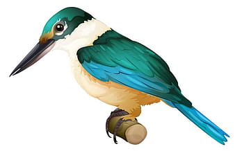 Sacred kingfisher eps vector
